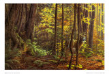 Buy October at AllPosters.com