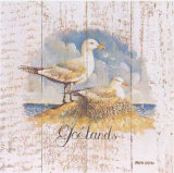 Goelands