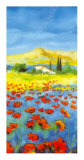Buy Poppies Forever IV at AllPosters.com