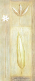 Buy Leaves Forever I at AllPosters.com