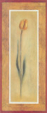 Buy Yellow Tulips I at AllPosters.com