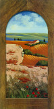 Summer Day in Umbria II
