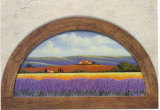 Lavander Fields