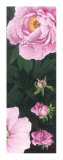 Buy Time of Flowering II at AllPosters.com