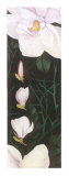 Buy Time of Flowering IV at AllPosters.com