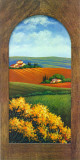 Summer Day in Umbria III