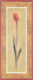 Buy Red Tulips II at AllPosters.com