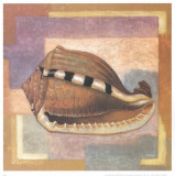 Buy Caracollas II at AllPosters.com