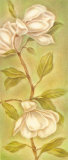 Buy Magnolias I at AllPosters.com