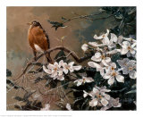 Buy Spring Rain at AllPosters.com
