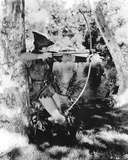 Buy Errol Flynn - The Adventures of Robin Hood at AllPosters.com