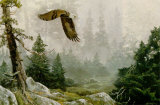 Buy Mist and Majesty at AllPosters.com