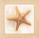 Etoiles de Mer IV