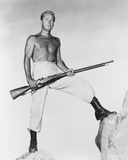 Buy Alan Ladd at AllPosters.com
