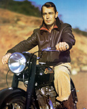Buy Alan Ladd at AllPosters.com