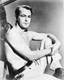 Buy Alan Ladd at AllPosters.com