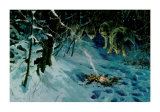Buy Burning Amber at AllPosters.com