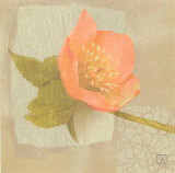 Buy Hellebore I at AllPosters.com