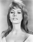 Buy Sophia Loren at AllPosters.com