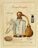 Aromatherapie, Lavande