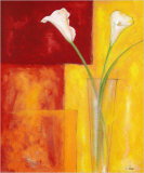 Callas Auf Warmen Rot