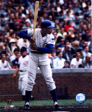 Ernie Banks - Batting Stance