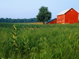 Red Barn in Green Field