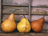 Studio-Pears