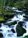 River Cascading Down Moss-Covered Rocks