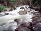 Madison River Rushing over Rocks