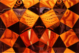 Cinquenta, Tigre Real