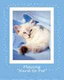 Buy Hard-to-Pet at AllPosters.com