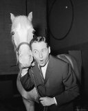 Mr.Ed