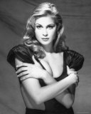 Buy Kelly Rutherford at AllPosters.com
