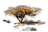 Trees Alive II Art Print