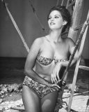 Buy Claudia Cardinale at AllPosters.com