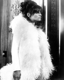 Buy Julie Christie at AllPosters.com