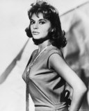 Gina Lollobrigida