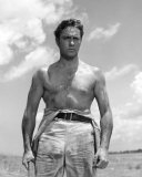 Richard Todd