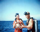Buy Boy on a Dolphin at AllPosters.com