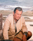 Buy David Janssen at AllPosters.com
