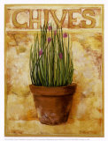 Buy Chives at AllPosters.com