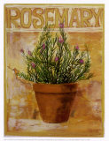 Buy Rosemary at AllPosters.com