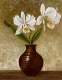 Buy Flowering Orchid at AllPosters.com
