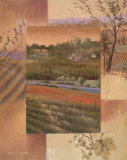 Buy Vineyard Sunset at AllPosters.com