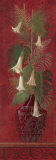 Buy Tropical Angels Trumpets II at AllPosters.com