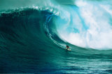 Let's Go Surfing