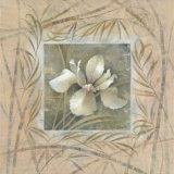 Buy Spa Iris at AllPosters.com