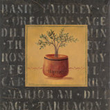 Buy Thyme at AllPosters.com