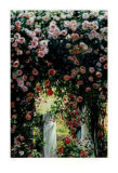 Buy Cascading Roses at AllPosters.com